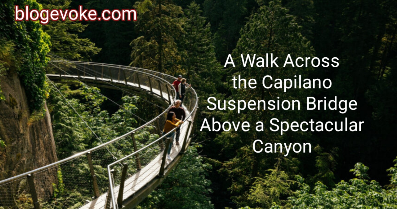 A Walk Across the Capilano Suspension Bridge Above a Spectacular Canyon